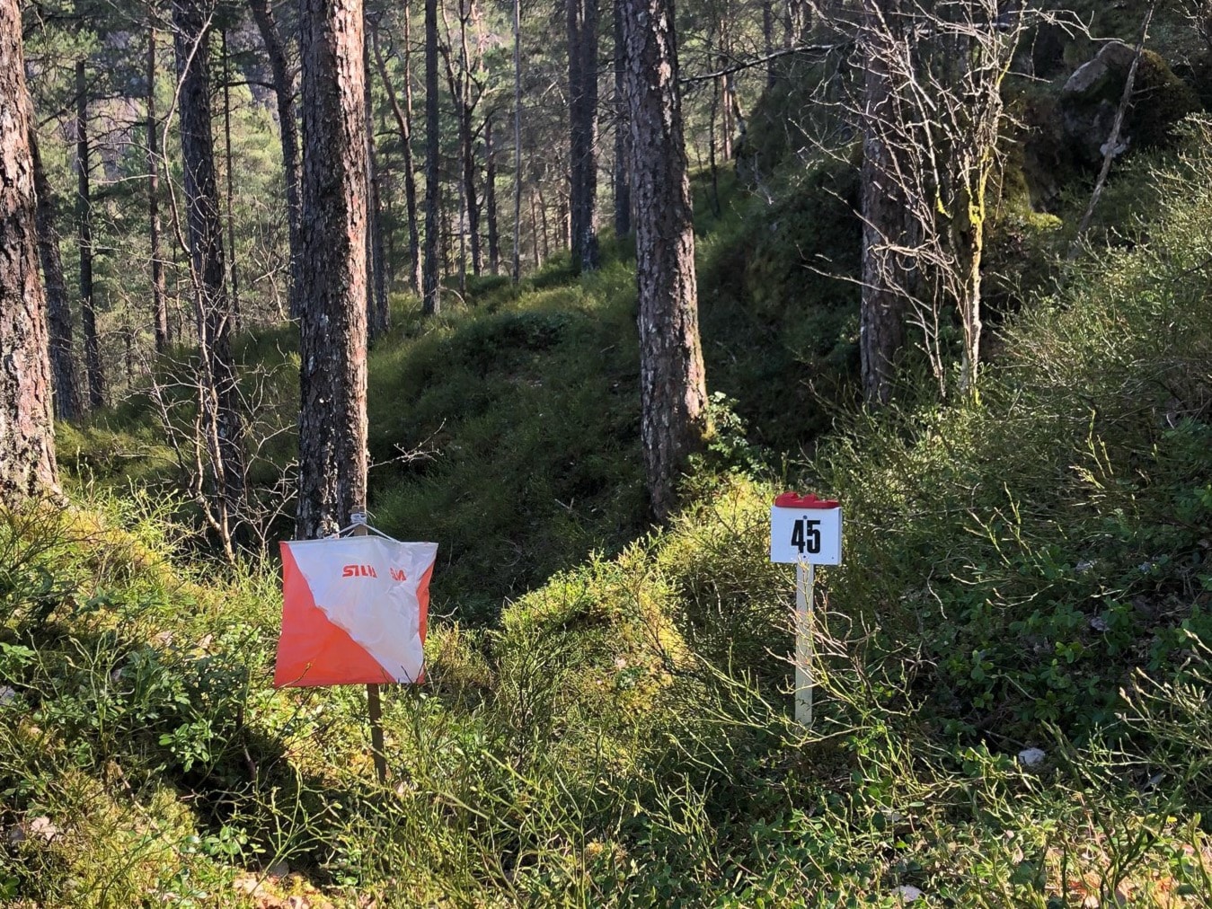 Nærløp og lagsmeisterskap 8.6.
